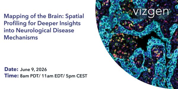 Mapping of the Brain: Spatial Profiling for Deeper Insights into Neurological Disease Mechanisms