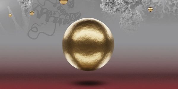 Magnetic Beads for Personalized mRNA Therapeutics