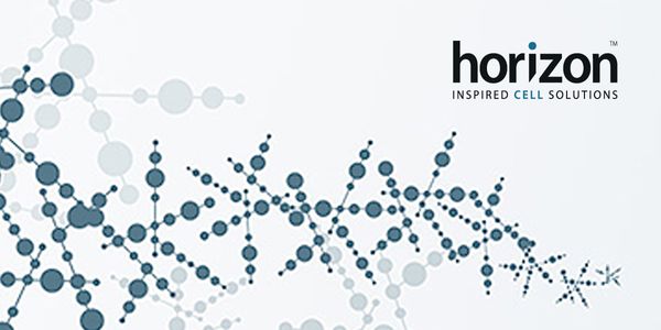 Drug development with nuclear receptor knockout and humanized rat models