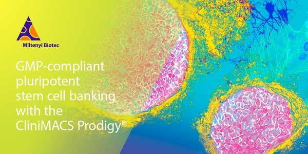 Automated GMP-compliant PSC banking in a closed system