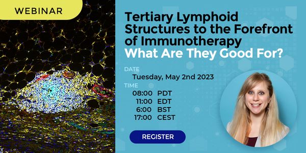 Tertiary lymphoid structures to the forefront of immunotherapy: what are they good for?