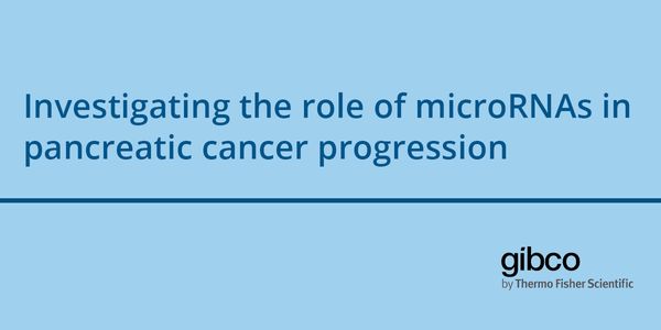 Investigating the role of microRNAs in pancreatic cancer progression