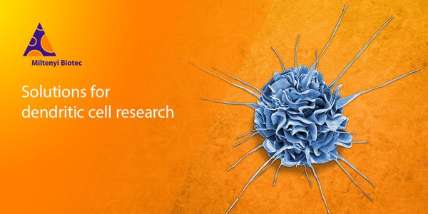 Solutions for dendritic cell research