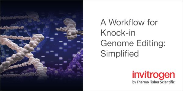 A Workflow for Knock-in Genome Editing: Simplified
