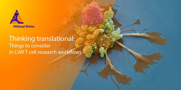 Thinking translational: Things to consider in CAR T cell research workflows