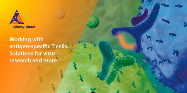 Enrichment & analysis of rare antigen & virus-specific T cells