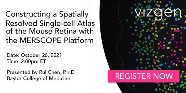 Constructing a Spatially Resolved Single-cell Atlas of the Mouse Retina with the MERSCOPE Platform