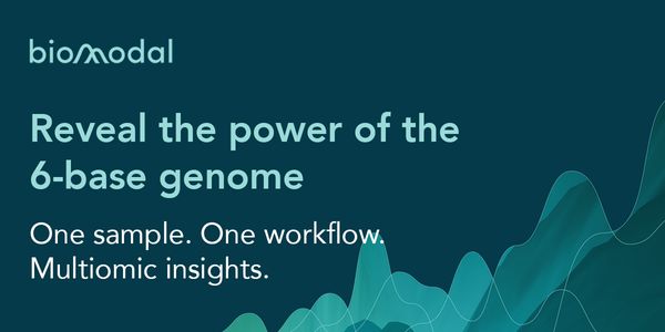 PART 2: Utilizing the 6-base genome to investigate the dynamics of enhancer DNA methylation during cellular differentiation