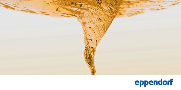 Cells in Motion - How to optimize your shake flask and bioreactor cultures