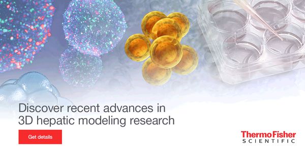 The use of 3D Models in Hepatic Biology