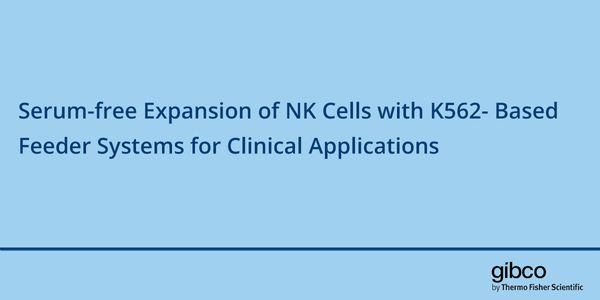 Serum-free Expansion of NK Cells with K562-  Based Feeder Systems for Clinical Applications