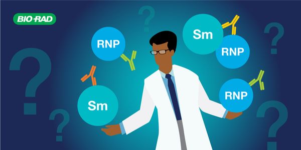 Is It Anti-RNP or Anti-Sm/RNP?