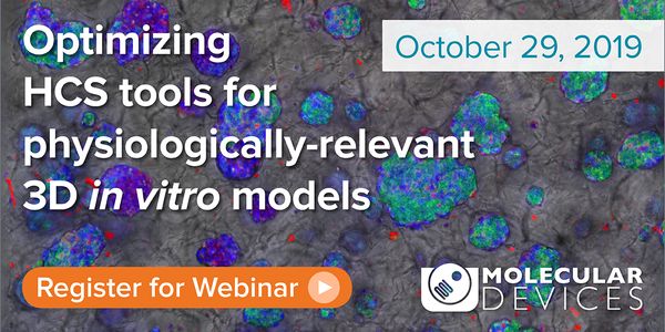 Optimizing high-content screening tools for physiologically-relevant 3D in vitro models