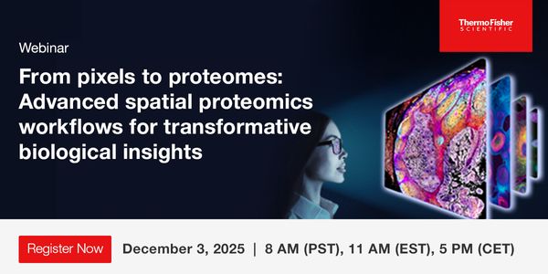 From pixels to proteomes: Advanced spatial proteomics workflows for transformative biological insights
