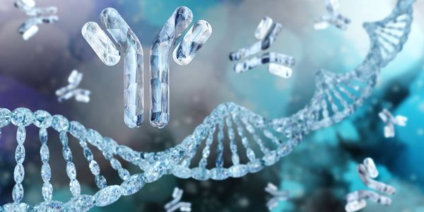 A novel and rapid platform to generate gram-level antibodies for diagnostic and therapeutic use