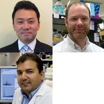 The Hidden Effects of Epigenetic Discoveries