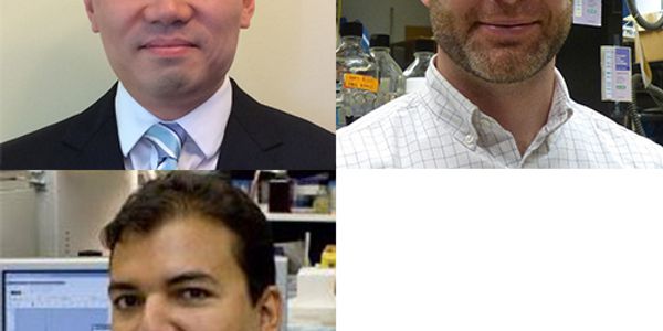 The Hidden Effects of Epigenetic Discoveries