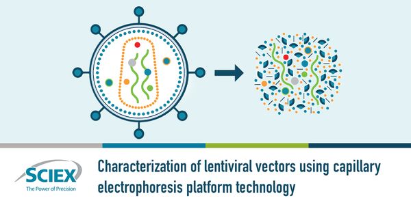Characterization of lentiviral vectors using capillary electrophoresis platform technology