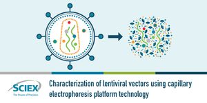 Characterization of lentiviral vectors using capillary electrophoresis platform technology