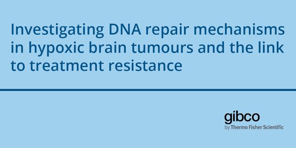 Investigating DNA repair mechanisms in hypoxic brain tumours and the link to treatment resistance