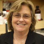 Stem Cells for Regeneration and Rescue