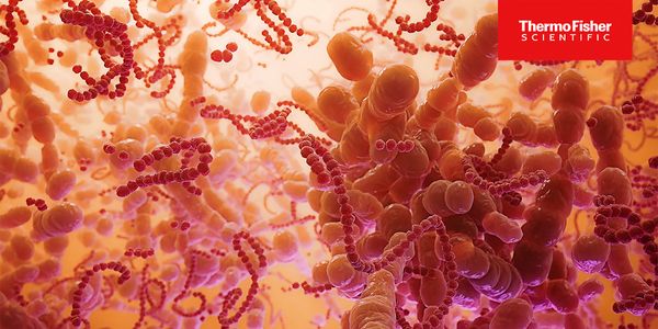 Knowledge is Power: Unveiling Women's Vaginal and Sexual Health Insights