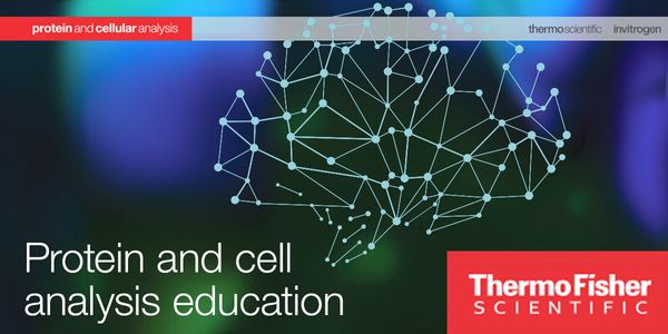 Making Polychromatic Flow Cytometry easy after Instrument Characterization and Validation