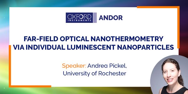 Far-Field Optical Nanothermometry via Individual Luminescent Nanoparticles