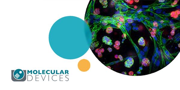 StemoniX microBrain 3D Assay Ready Plates as a Human iPSC-based Neural Spheroid Platform for  High Throughput Drug Screening