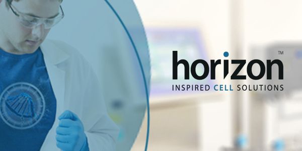 How to use CRISPR-Cas9 for knockout, knock-in and gene activation