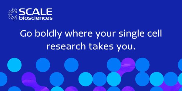 Single-cell methylation whole genome sequencing: cell atlases in pig to human xenotransplantation