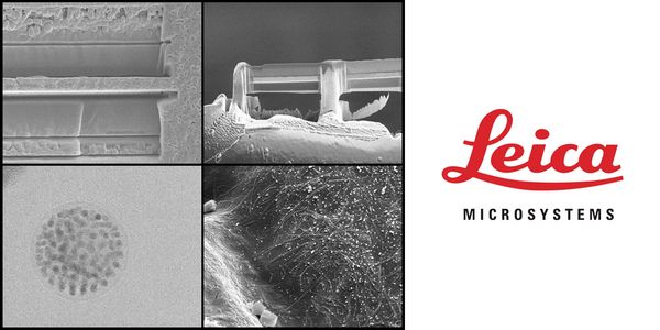 Cryogenic Electron Microscopy of Beam and Air-Sensitive Materials