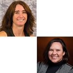 Alternative Delivery Methods for Post-Operative Analgesia Using Meloxicam in Mice