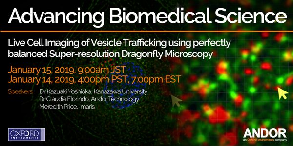 Advancing Biomedical Science: Live Cell Imaging of Vesicle Trafficking using perfectly balanced Super-resolution Dragonfly Microscopy