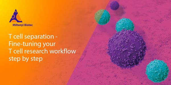 T cell separation: Fine-tuning your T cell research workflow step by step