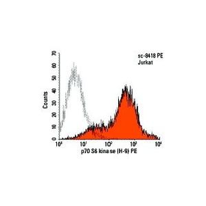 p70 S6 kinase α (H-9) Alexa Fluor® 647