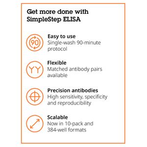 Anti-pro Caspase-1 + p10 + p12 antibody [EPR16883](AB179515)