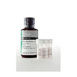 RIPA Lysis Buffer System