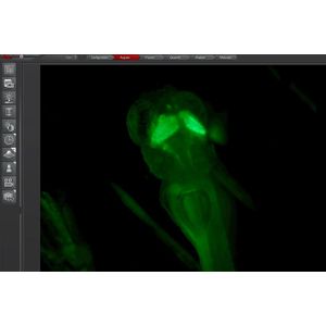 LAS X Life Science Microscope Software Platform