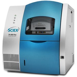 Human CHID1 (Chitinase domain-containing protein 1) ELISA