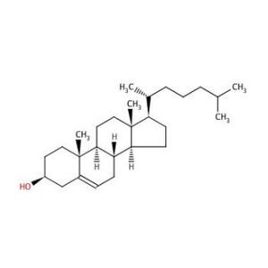 Cholesterol-5