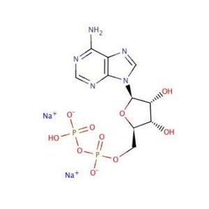 Adenosine 5'-Diphosphate disodium salt-3