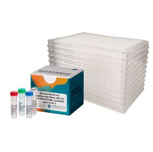 Amp-Seq One kit incl. targeting oligo library (384 rxn) | Science ...