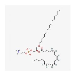 1-O-Palmityl-2-arachidonoyl-sn-glycero-3-phosphocholine-2