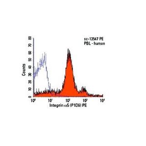 Integrin α5 (P1D6)