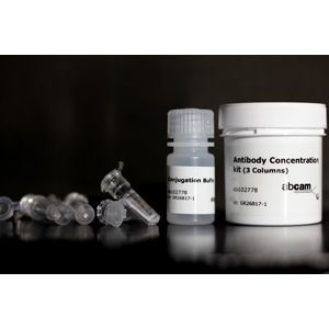 Anti-gamma H2A.X (phospho S139) antibody [9F3](AB26350)