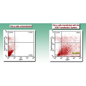 K2® Transfection Kit - DNA & RNA Transfection Reagent