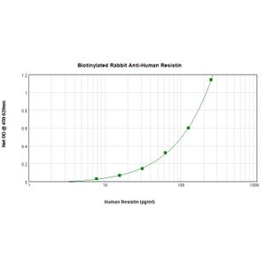 Anti-Cyclin D1 antibody [SP4](AB16663)