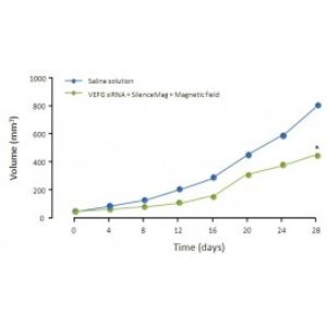 In vivo SilenceMag -In vivo Transfection Reagent