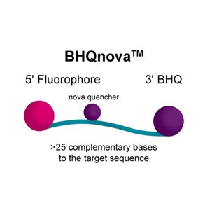 BHQnova™ Probes